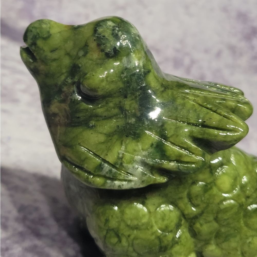 Green Jade Lizard - Picture 8 of 13